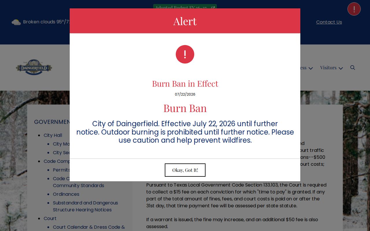 Daingerfield warrant surcharge and municipal court options